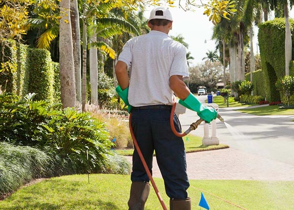 About Big Bend WI Pest Control Pros